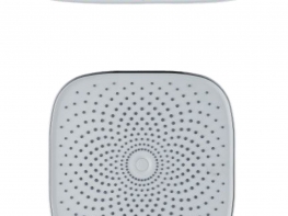 Shower head